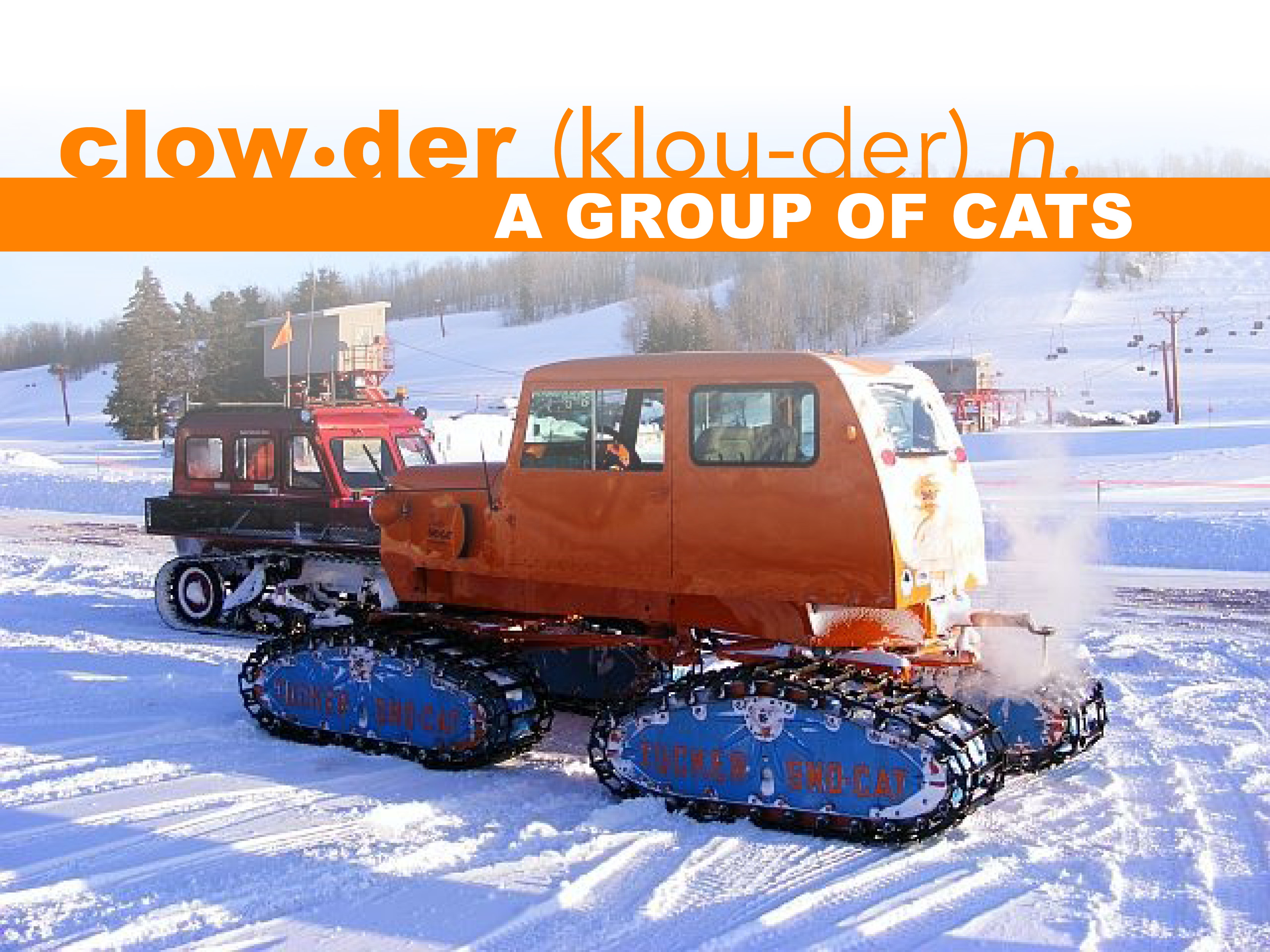 2019 Midwest Cat Clowder